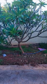 CASA Á VENDA NO JARDIM ITORORÓ