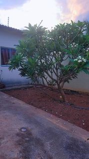 CASA Á VENDA NO JARDIM ITORORÓ