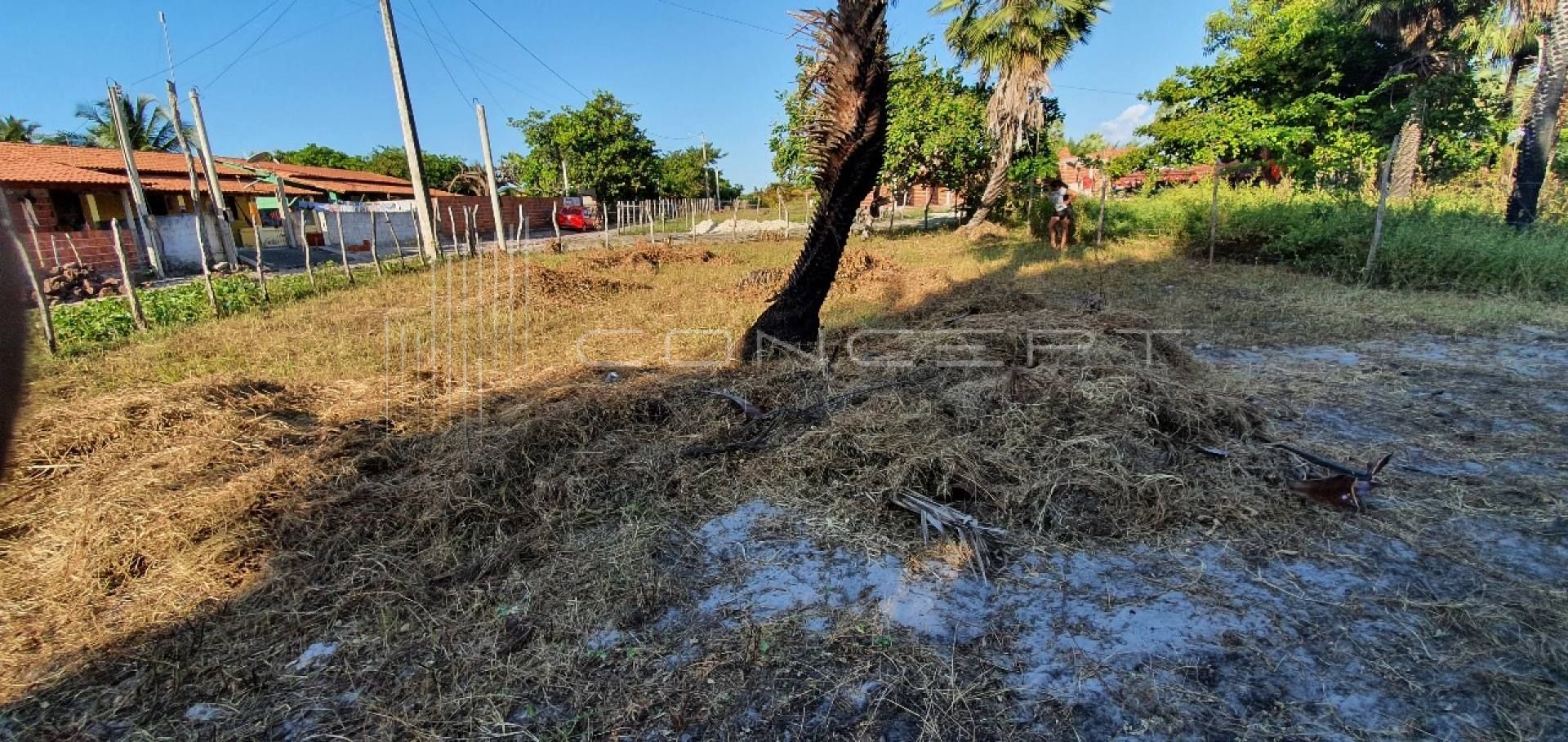 Terreno em Barra Grande