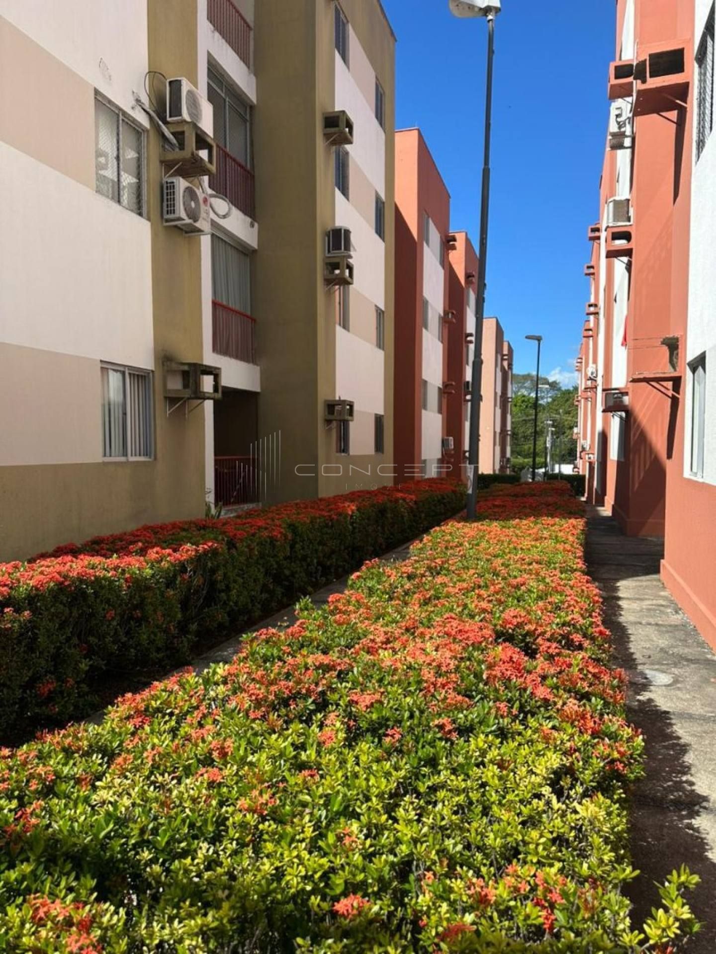 Apartamento no Uruguai no Vale do Gurguéia