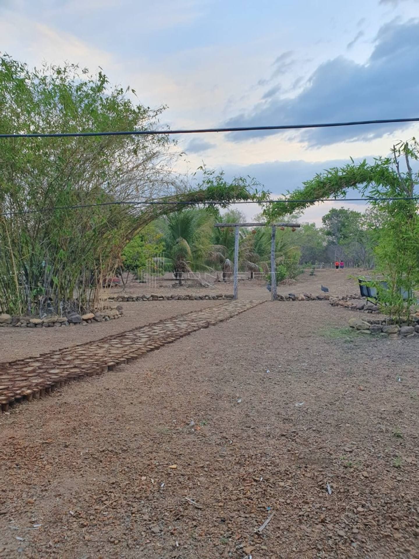 Fazenda Santa Helena - 135ha em Esperantina