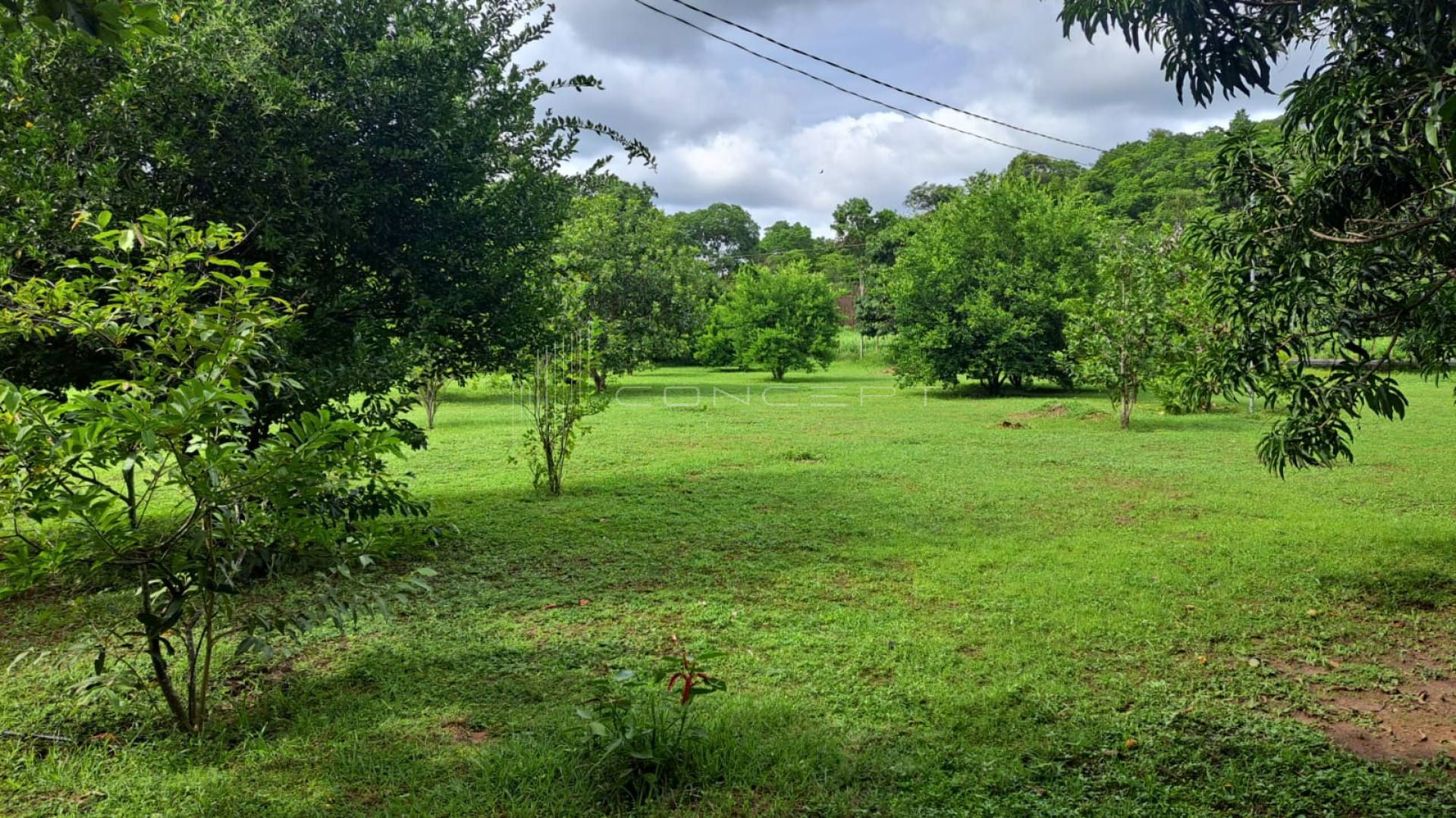 Sitio na Cacimba Velha