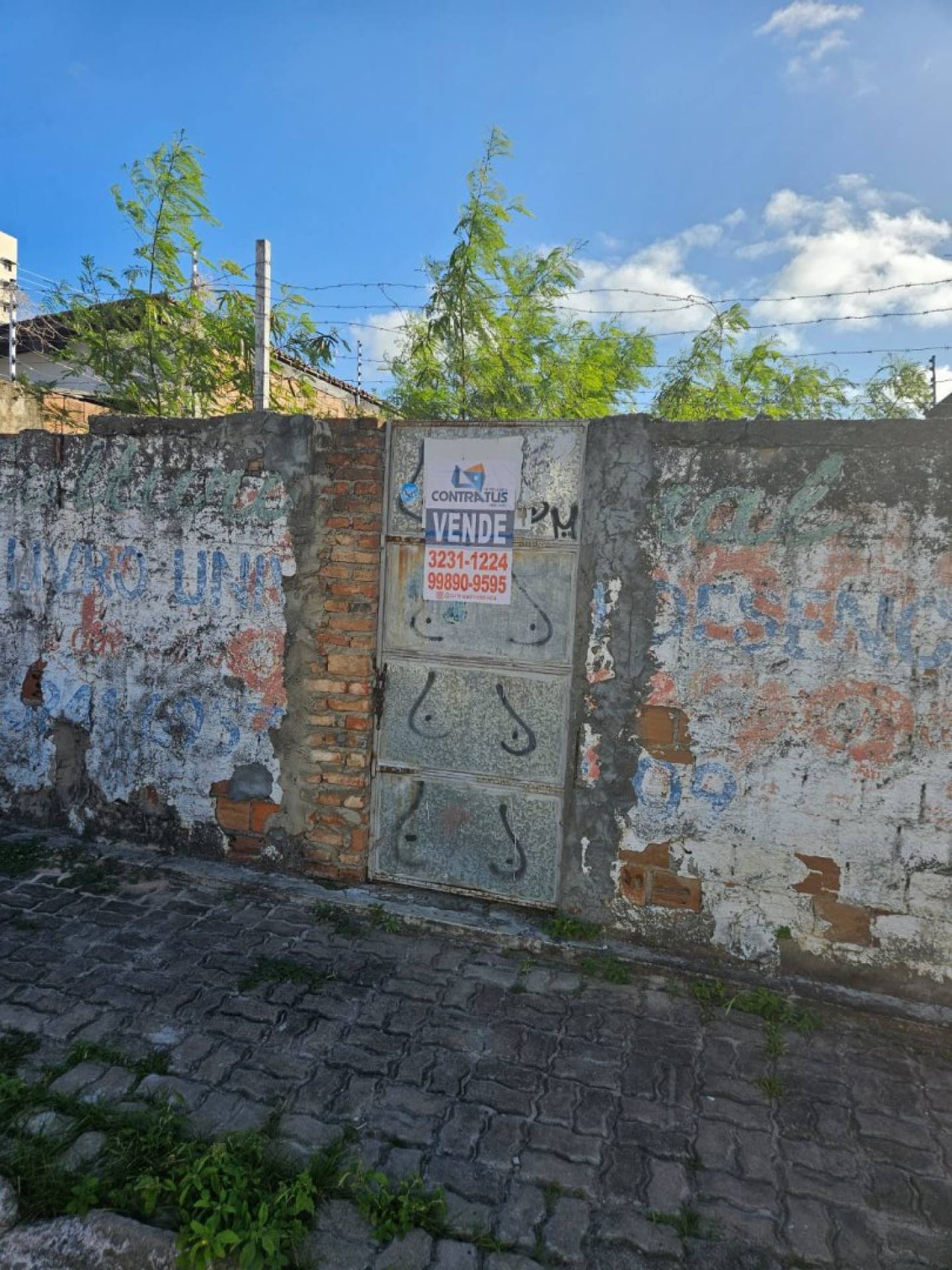 Terreno em Salgado Filho