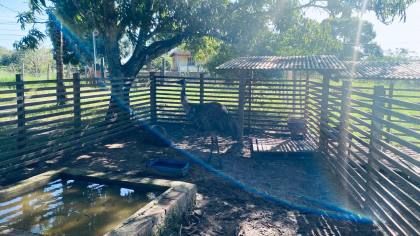 Sítio em Nossa Sra do Socorro