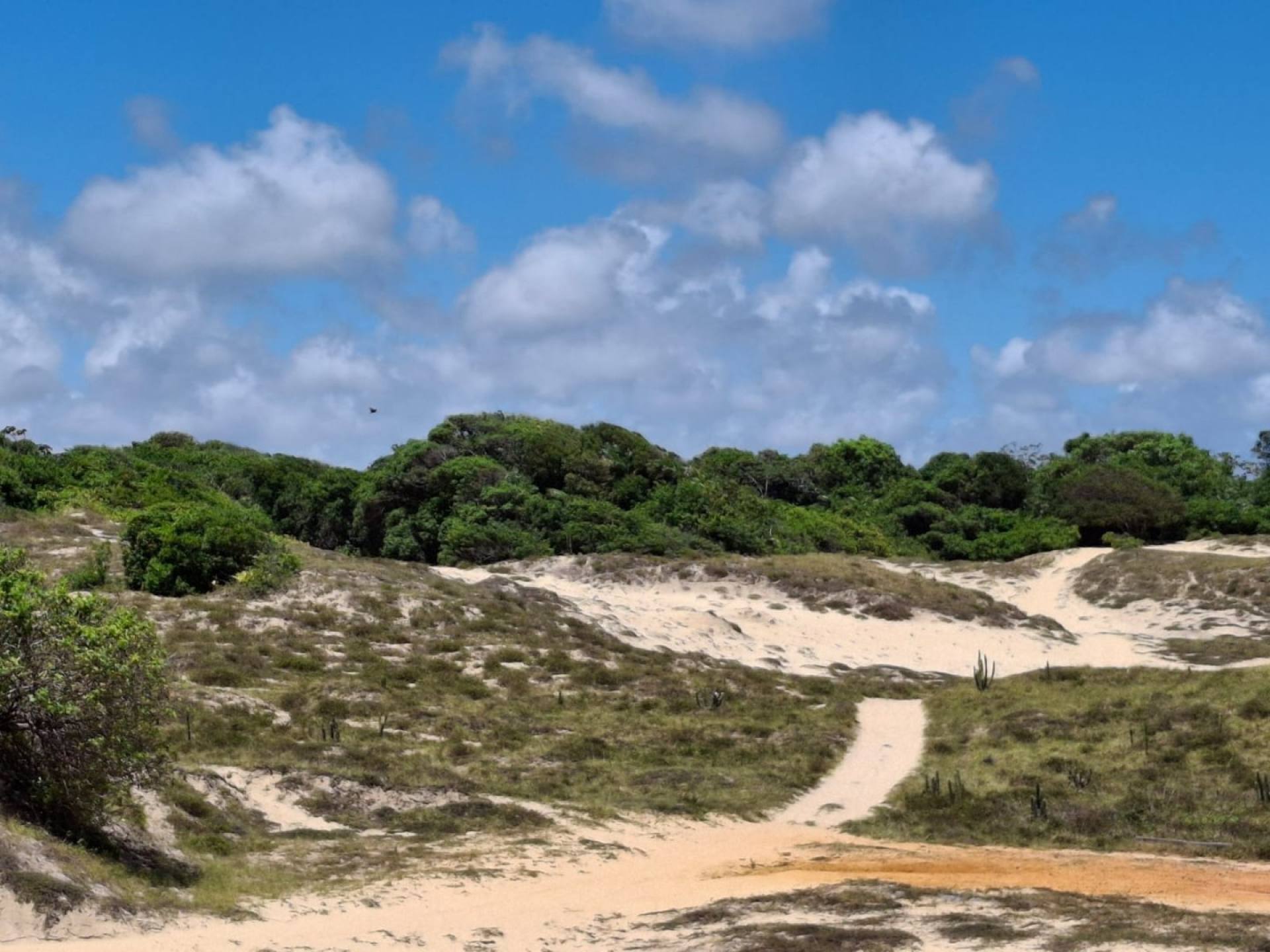 Lotes na Praia do Abais