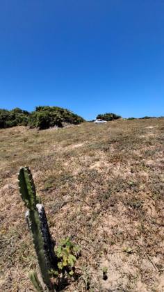 Lotes na Praia do Abais