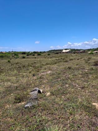 Lotes na Praia do Abais