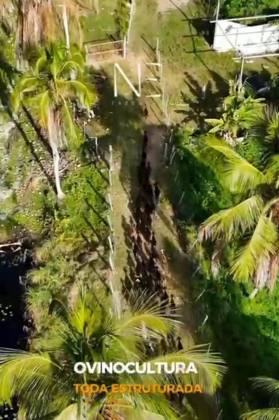 Fazenda em Estância