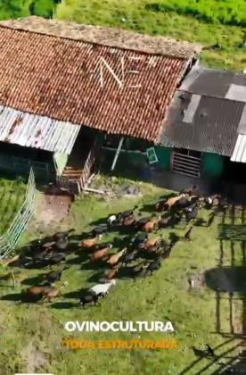 Fazenda em Estância