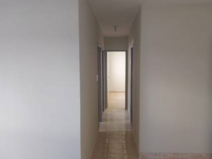 Jardim das Orquídeas