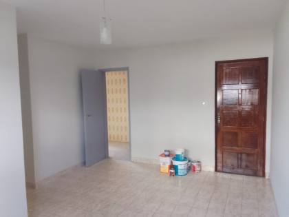 Jardim das Orquídeas