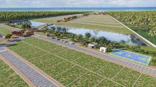 Lotes no Villaredo Barra