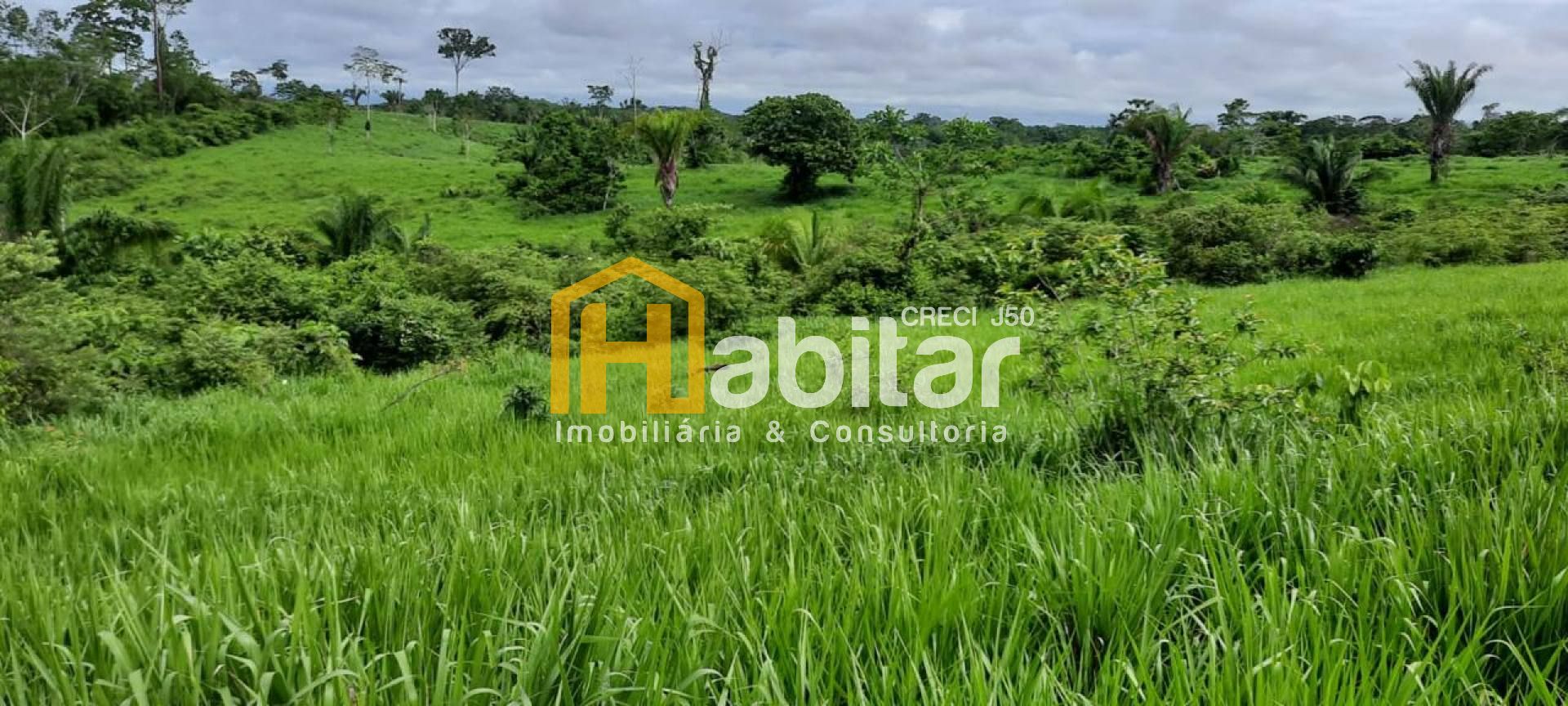 Fazenda- Sena Madureira