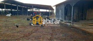 Fazenda- Sena Madureira