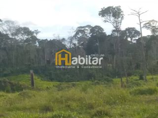 Excelente Fazenda com porteira fechada e com 330 cabeças de gado