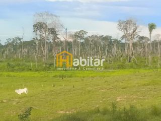 Excelente Fazenda com porteira fechada e com 330 cabeças de gado