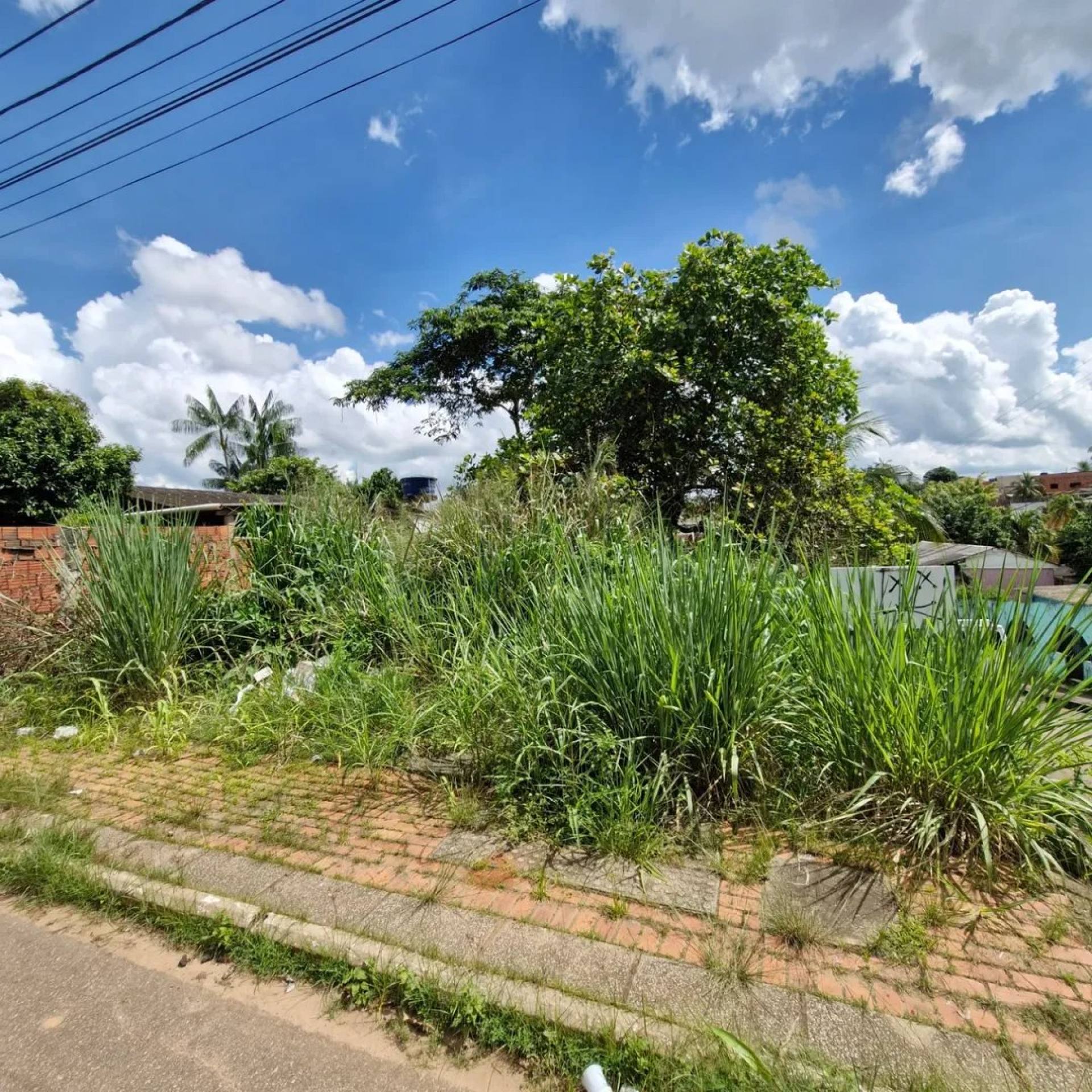 Lote / Terreno de Bairro Para Vender no bairro Placas  em Rio Branco