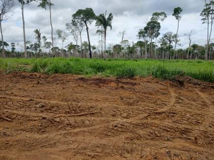 Fazenda Para Vender com 405 Hectares no Acre