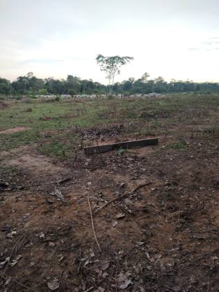 Fazenda Para Vender com 405 Hectares no Acre