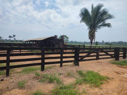 Fazenda Para Vender com 405 Hectares no Acre