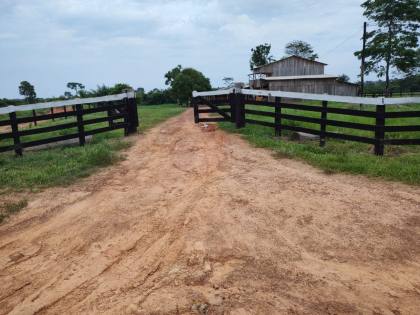 Fazenda Para Vender com 405 Hectares no Acre