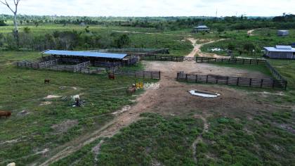 Fazenda Para Vender em Boca Do Acre