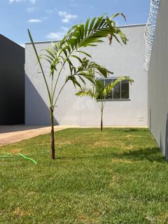 Vendo casa na Planta