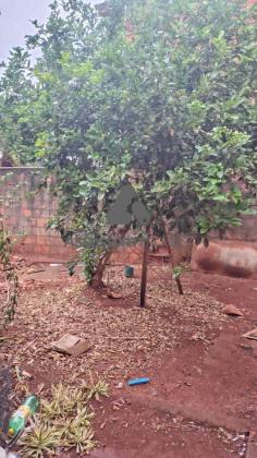 Casa Para Vender com 3 quartos no bairro Afonso Pena