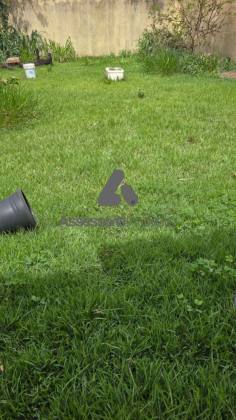 Casa Para Vender com 2 quartos no bairro Santa rita