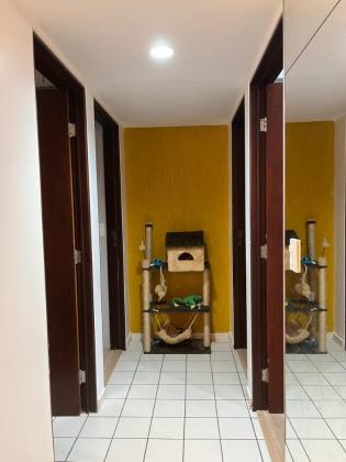 Apartamento à venda, 03 quartos, sendo 01 suíte, 78m², Jatiúca, Maceió/al  AG