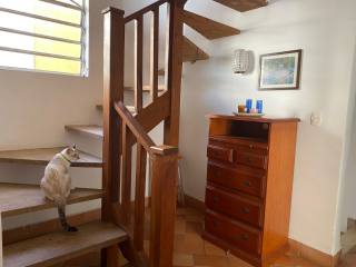 Casa Para Vender com 5 quartos 1 suítes no bairro Granja Viana em Cotia