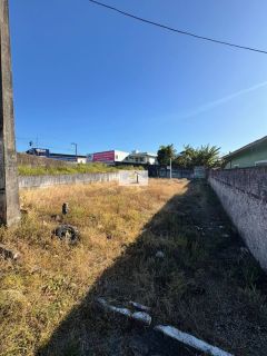 Terreno Plano com 336m² à Beira da BR-101 – Frente ao Viaduto de Forquilhas!