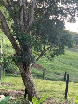 Lotes Exclusivos de 3.000 m² em Condomínio Rural – Vista Panorâmica