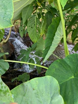 Lotes Exclusivos de 3.000 m² em Condomínio Rural – Vista Panorâmica