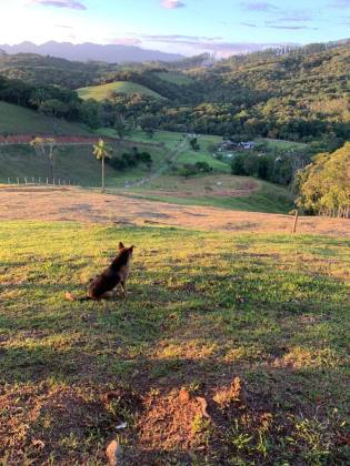 Lotes Exclusivos de 3.000 m² em Condomínio Rural – Vista Panorâmica