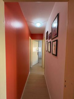 Invista ou more na Trindade: apartamento de 2 dormitórios com garagem