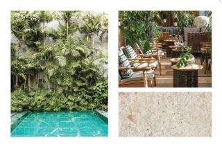 NATIIVO / MIAMI
