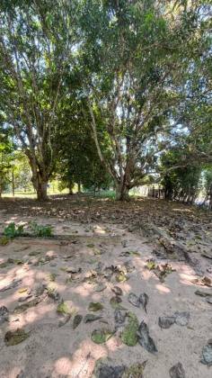 Chácara na zona rural de Rio Branco