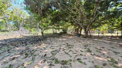 Chácara na zona rural de Rio Branco