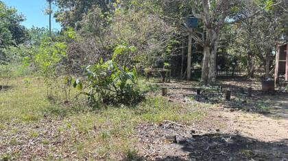 Chácara na zona rural de Rio Branco
