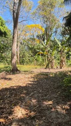 Chácara na zona rural de Rio Branco