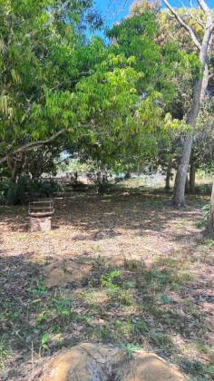 Chácara na zona rural de Rio Branco
