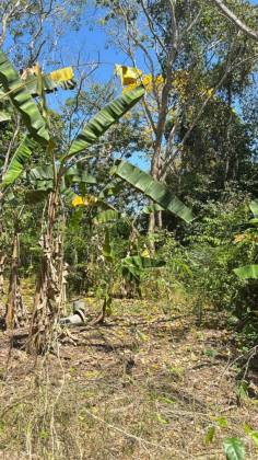 Chácara na zona rural de Rio Branco