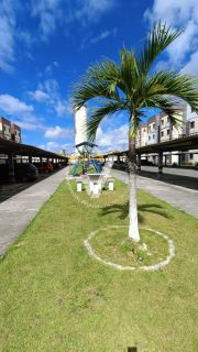 LIVRE MORADA