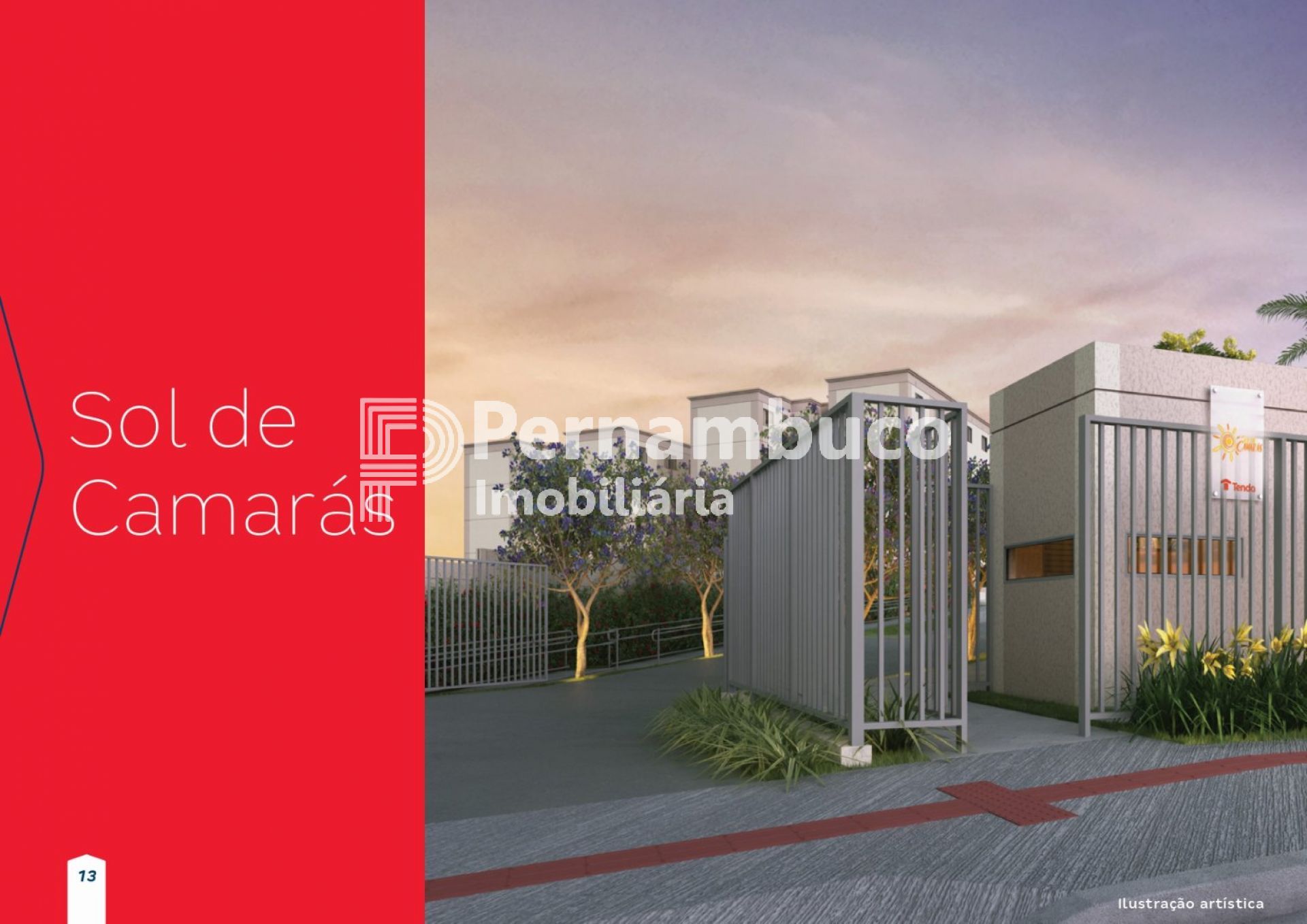 SOL DE CAMARAS 