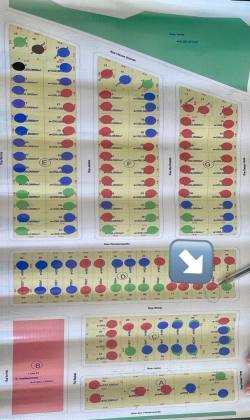 LOTE À VENDA NO BAIRRO JARDIM ARAGUAIA 2 NOVA MUTUM MT