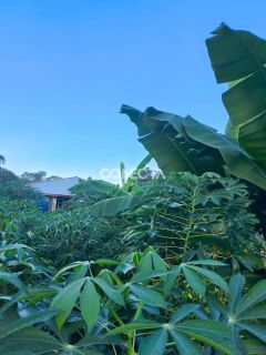Sítio Para Vender com 2 quartos no bairro Rural em Nova Mutum