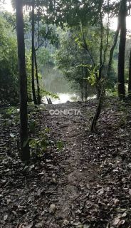 VENDE-SE – Área no Rio Arinos | Nova Mutum – MT