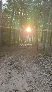 VENDE-SE – Área no Rio Arinos | Nova Mutum – MT