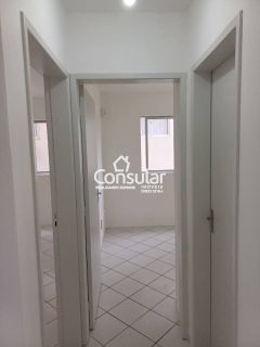 Apartamento Para Alugar com 2 quartos no bairro Ponta de Baixo em São José